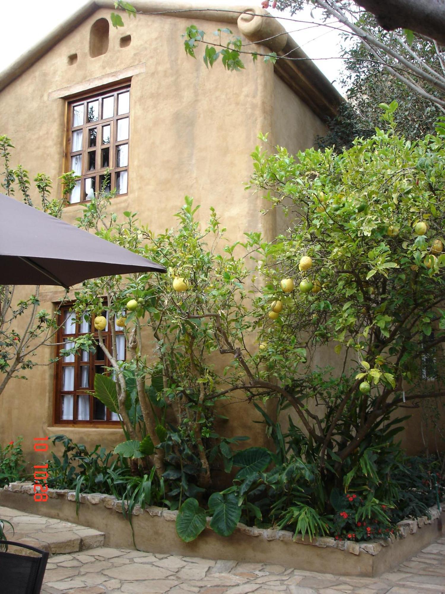 Guayaba Inn Boutique Hotel San Cristóbal de Las Casas Buitenkant foto